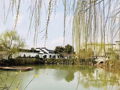 糖心VLGO拍摄技巧作品六