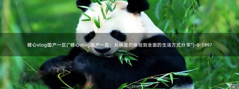 心糖的vlog：糖心vlog国产一区(\