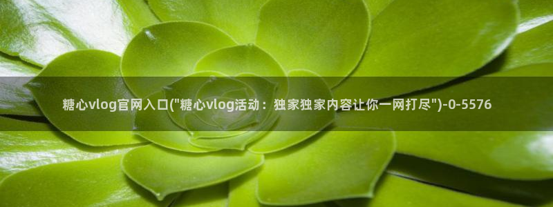 91制片厂糖心vlog玩偶