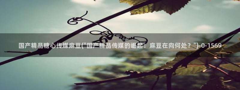 糖心少女vlog孤独的生日：国产精品糖心传媒麻豆(\