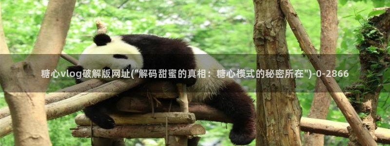 糖心vlog排行榜