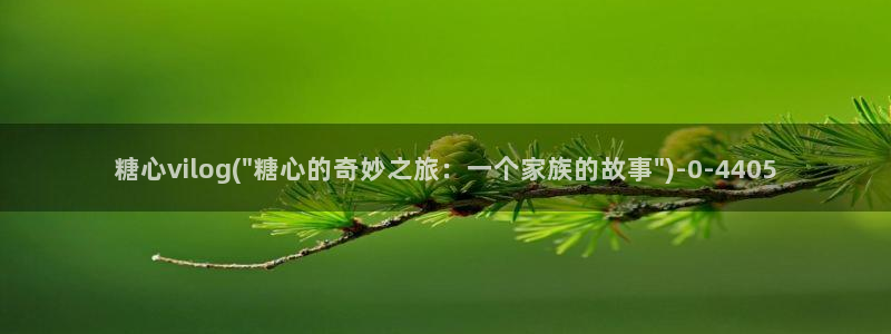 除了糖心vlog还有哪些：糖心vilog(\