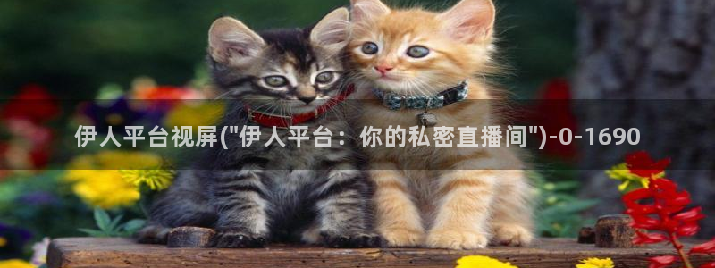 伊人久久av激情影院：伊人平台视屏(\