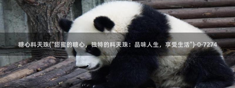 心糖vlog谁最好看