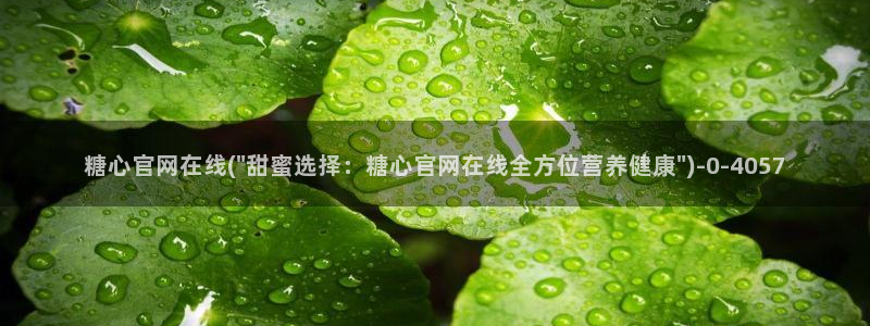 糖心vlog在线网址