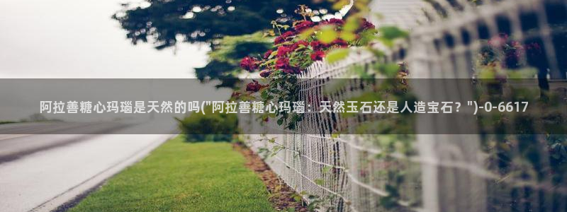 心糖vlog视频在线观看