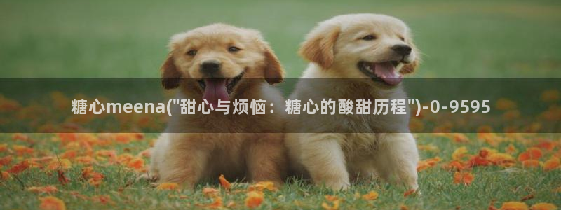 糖心vlog入口进入网站
