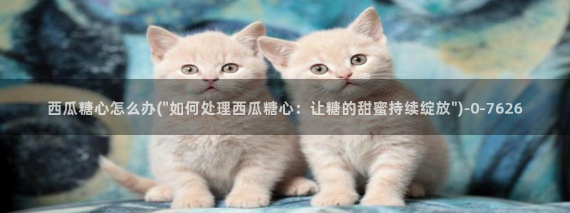 糖心小视频