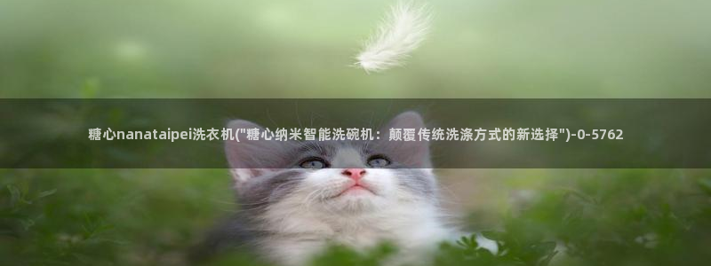 糖心vlog国际版