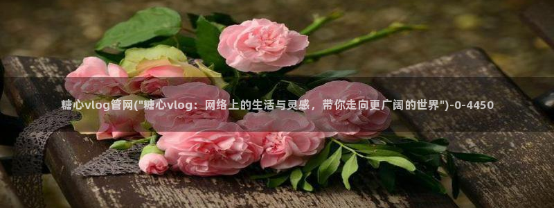 糖 vlog