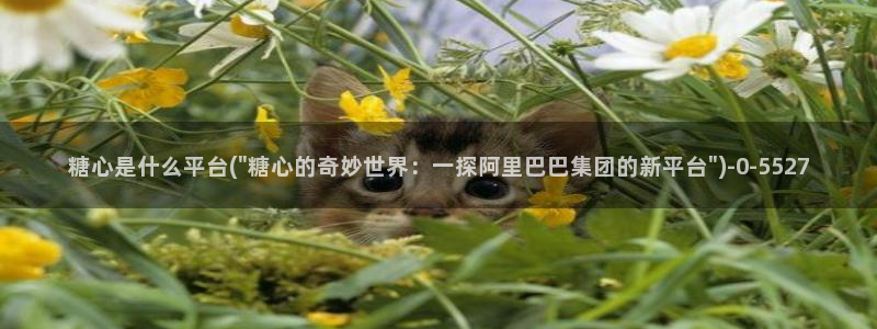 糖心vlog最新一集