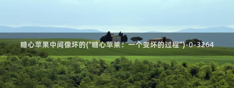 糖心vlog是啥