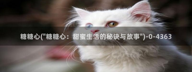 糖心vlog网址入口