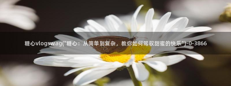 糖心vlog演员表